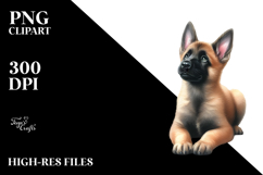 a Cute Watercolor Malinois with Christmas Gifts PNG Product Image 2
