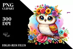 colorful owl, Transparent PNG Product Image 1
