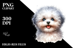 Happy Bichon Frise with Big Eyes PNG Product Image 2