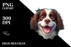 Crazy Springer Spaniel Clipart Product Image 1