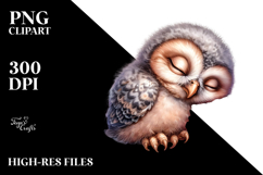 Digital Watercolor Baby Owl, Transparent PNG Product Image 2