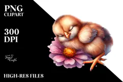 Baby Chicken Sleeping on Flower PNG Product Image 2