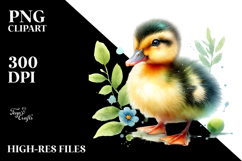 Baby Duck Sleeping on Flower PNG Product Image 2