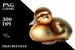 Digital Watercolor Baby Duck PNG Product Image 2