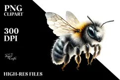 Baby Bee with Big Eyes, PNG Product Image 2
