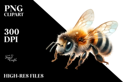 Baby Bee with Big Eyes, PNG Product Image 2