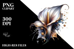 Shiny Calla Lily Splash Clipart Product Image 3