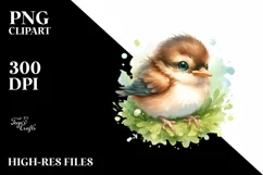 Cute Baby Bird PNG Product Image 1