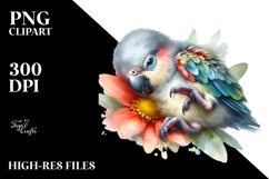 Baby Parrot Sleeping on Flower PNG Product Image 2