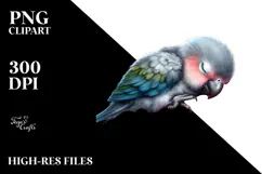 Cute Baby Parrot Sleeping, Transparent PNG Product Image 2