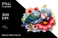 Digital Watercolor Baby Parrot on Flower Product Image 2