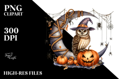 Owl on Half Moon, Transparent PNG Product Image 2