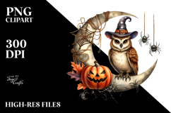 Owl on Half Moon, Transparent PNG Product Image 2
