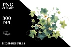 Watercolor Ivy Gourd | Sublimation | Clipart Product Image 3