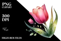 Tulip Flower, Transparent PNG Product Image 2