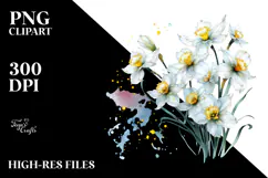Narcissus Watercolor PNG Product Image 2