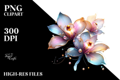 Orchid, Transparent PNG Product Image 2