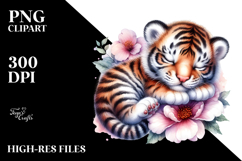 Cute Baby Tiger Sleeping on Flower, PNG Product Image 2