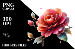 Camellia, Transparent PNG Product Image 2