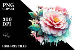 Camellia, Transparent PNG Product Image 2