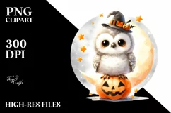 Cute Baby Owl on Star PNG Product Image 3