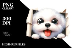 Crazy Looking Bichon Frise | Sublimation | Clipart Product Image 3