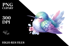 Sleeping Hummingbird Pastel Cute Clipart Product Image 2