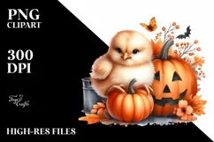 Cute Baby Chicken with Halloween Pumpkin PNG Product Image 1