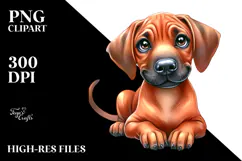 Cute Rhodesian Ridgeback with Big Eyes PNG Product Image 2