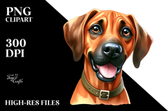 Baby Rhodesian Ridgeback with Big Eyes PNG Product Image 2