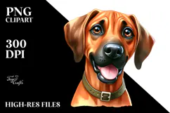 Baby Rhodesian Ridgeback with Big Eyes PNG Product Image 2