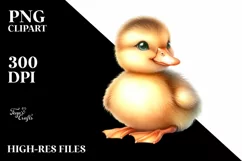 Cute Baby Duck High Details PNG Product Image 3
