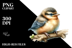 Cute Baby Bird PNG Product Image 2