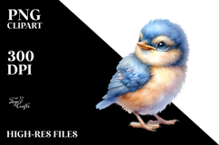 Cute Baby Bird PNG Product Image 2