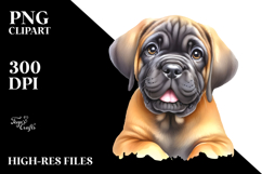 Baby Mastiff PNG Product Image 2