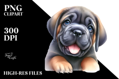 Baby Mastiff PNG Product Image 2