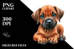 Baby Rhodesian Ridgeback PNG Product Image 2