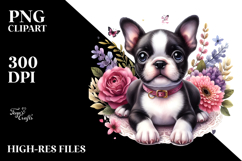 Baby Boston Terrier | Clipart Product Image 2