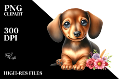 Baby Dachshund with Big Eyes, Watercolor PNG Product Image 2