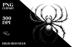 Spider Digital Painting, PNG Product Image 2
