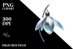 Detailed Snowdrop | Clipart Product Image 1
