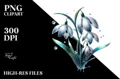 Detailed Snowdrop | Clipart Product Image 1