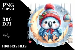 Baby Macaw in Winter Clothes, High-Res PNG Product Image 3