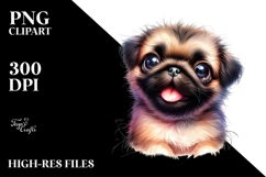Baby Pug with Big Eyes PNG Product Image 2