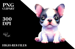 Expressive Boston Terrier, Transparent PNG Product Image 2