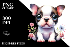 Cute Baby Boston Terrier Product Image 2
