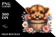 Summer Highland Cow Portrait, Transparent PNG Product Image 1