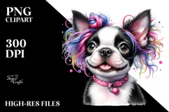 Happy Boston Terrier, Transparent PNG Product Image 2