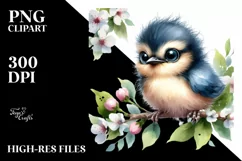 Baby Bird with Big Eyes PNG Product Image 3