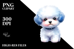 Expressive Bichon Frise, Transparent PNG Product Image 2